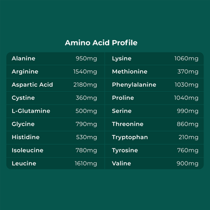 Plant Protein