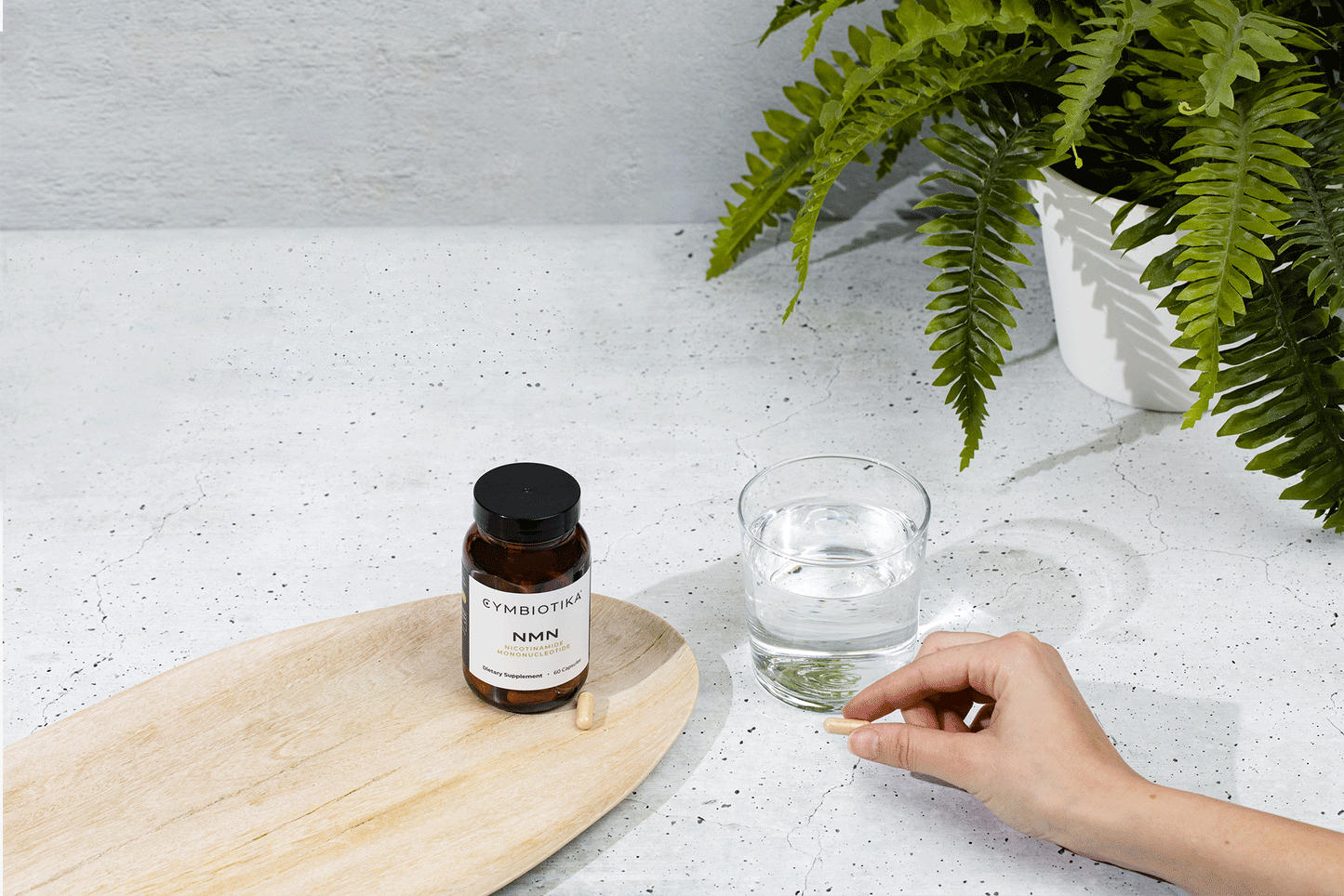 NMN + Trans-Resveratrol